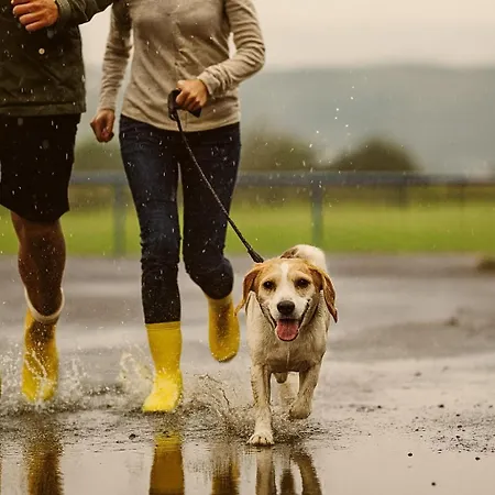 Bps #1 Business Apartamento *