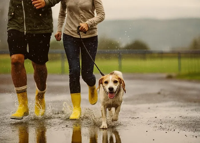 Bps #1 Business Appartement *