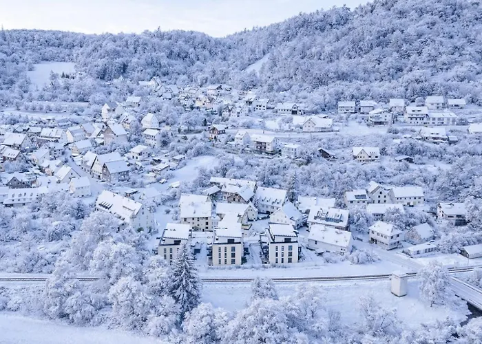 Bps #1 Business Appartement Horb am Neckar